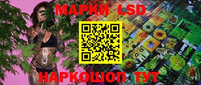 сатива Будённовск