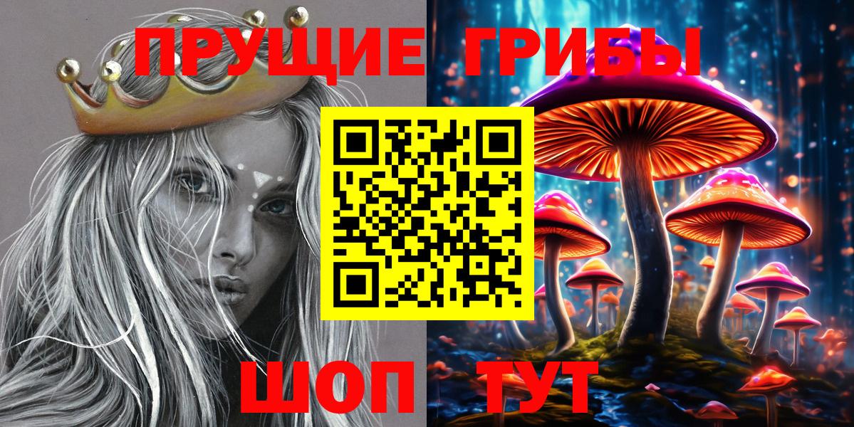 Галлюциногенные грибы Psilocybe Ярцево