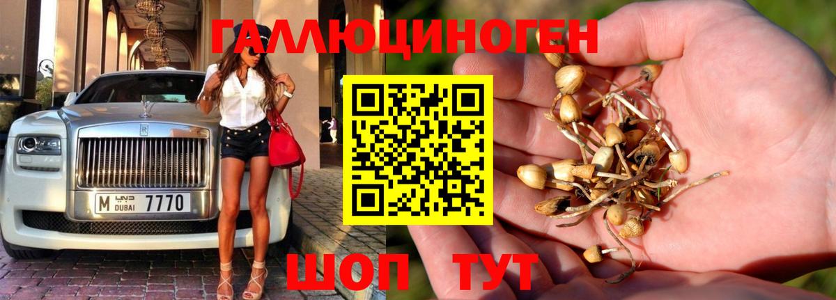 Галлюциногенные грибы MAGIC MUSHROOMS  Вход с VPN  Ярцево  Галлюциногенные грибы GOLDEN TEACHER 